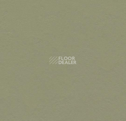 Кварцвиниловые полы Marmoleum Click 333355 rosemary green фото 1 | FLOORDEALER